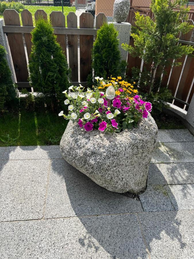 B&B Casa Il Sasso Пинцоло Екстериор снимка