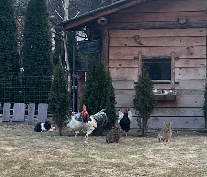 B&B Casa Il Sasso Пинцоло Екстериор снимка